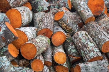 Similar image 19946528