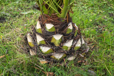 Similar image 19946530