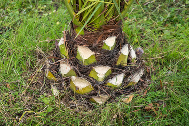 Similar image 19946548