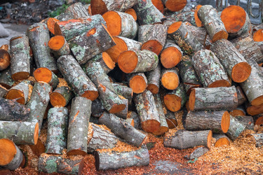 Similar image 19946549