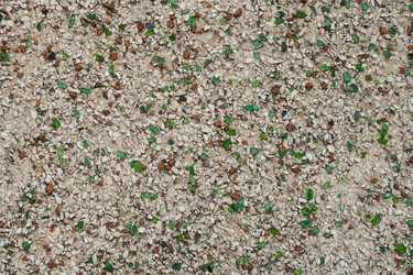 Similar image 19946544