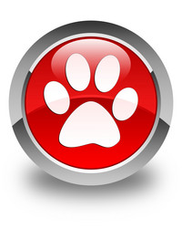 Similar image 19991737