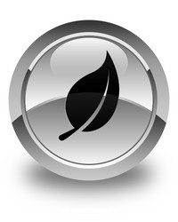 Similar image 20010629