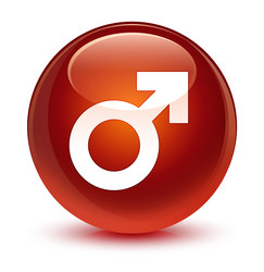 Similar image 20010657