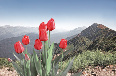 Similar image 20158564