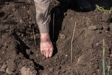 Similar image 20174297