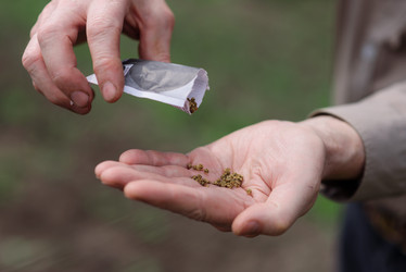 Similar image 20174425