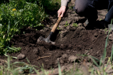 Similar image 20174557