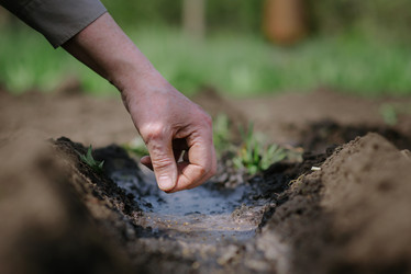 Similar image 20174996