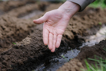 Similar image 20175140