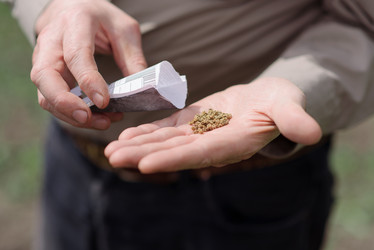 Similar image 20175164