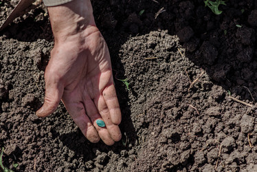 Similar image 20175206