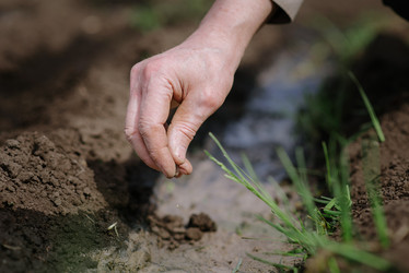 Similar image 20193325