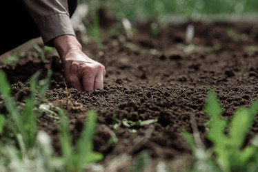 Similar image 20193363