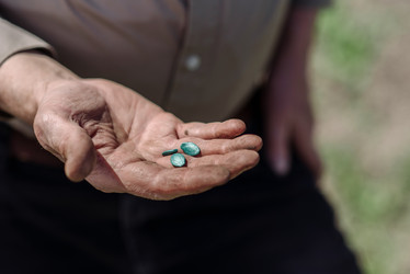 Similar image 20193405