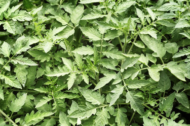 Similar image 20158565