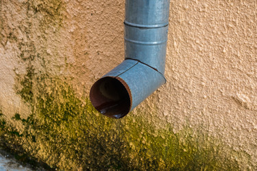 Similar image 19946954