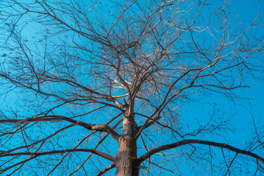 Similar image 19946914