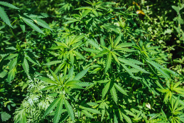 Similar image 20175178