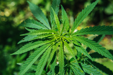 Similar image 20175167