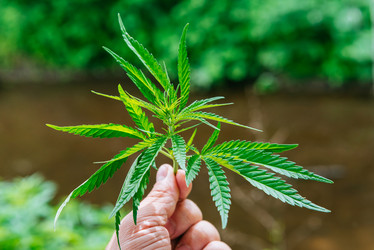 Similar image 20175208