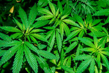 Similar image 20175211