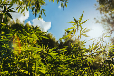 Similar image 20193326