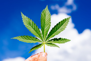 Similar image 20193328