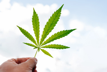 Similar image 20193364