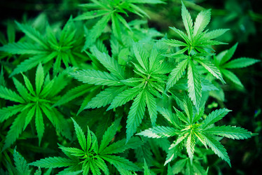 Similar image 20193365