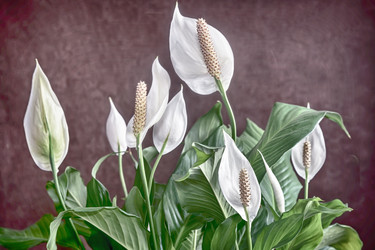 Similar image 20158545