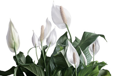 Similar image 20158546