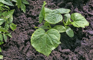 Similar image 20158548