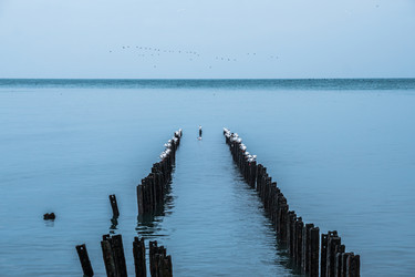 Similar image 19946730