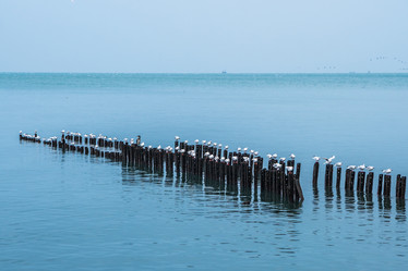 Similar image 19946754