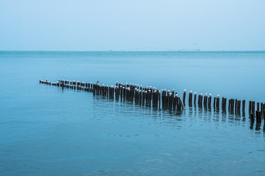 Similar image 19946758