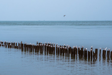 Similar image 19946762