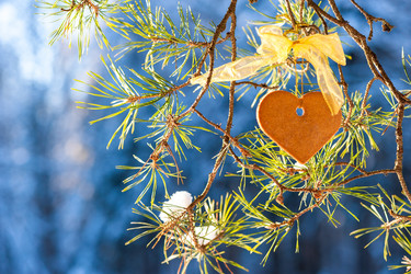 Similar image 20105858