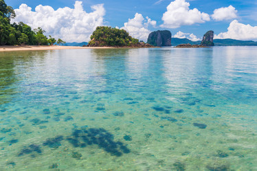 Similar image 20070880