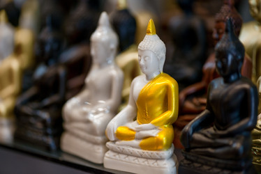 Similar image 20070884