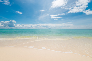 Similar image 20070885