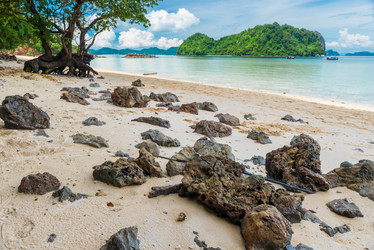 Similar image 20070895