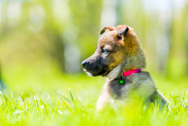 Similar image 20070899