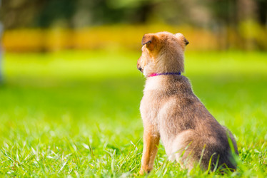 Similar image 20070901