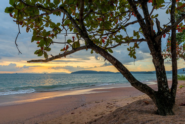 Similar image 20070908