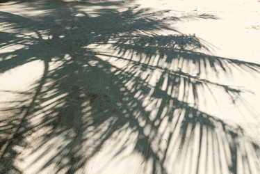 Similar image 20105841