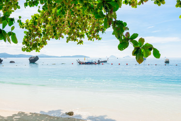 Similar image 20070918