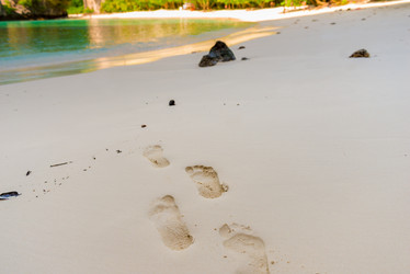 Similar image 20070925