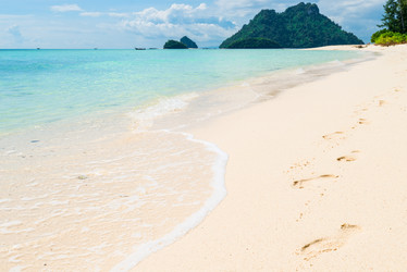 Similar image 20070946