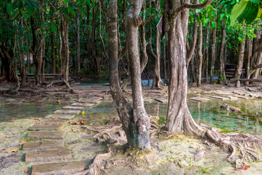 Similar image 20070977